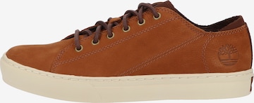 TIMBERLAND Sneakers low i brun