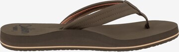 REEF Beach & Pool Shoes 'Breeze' in Brown