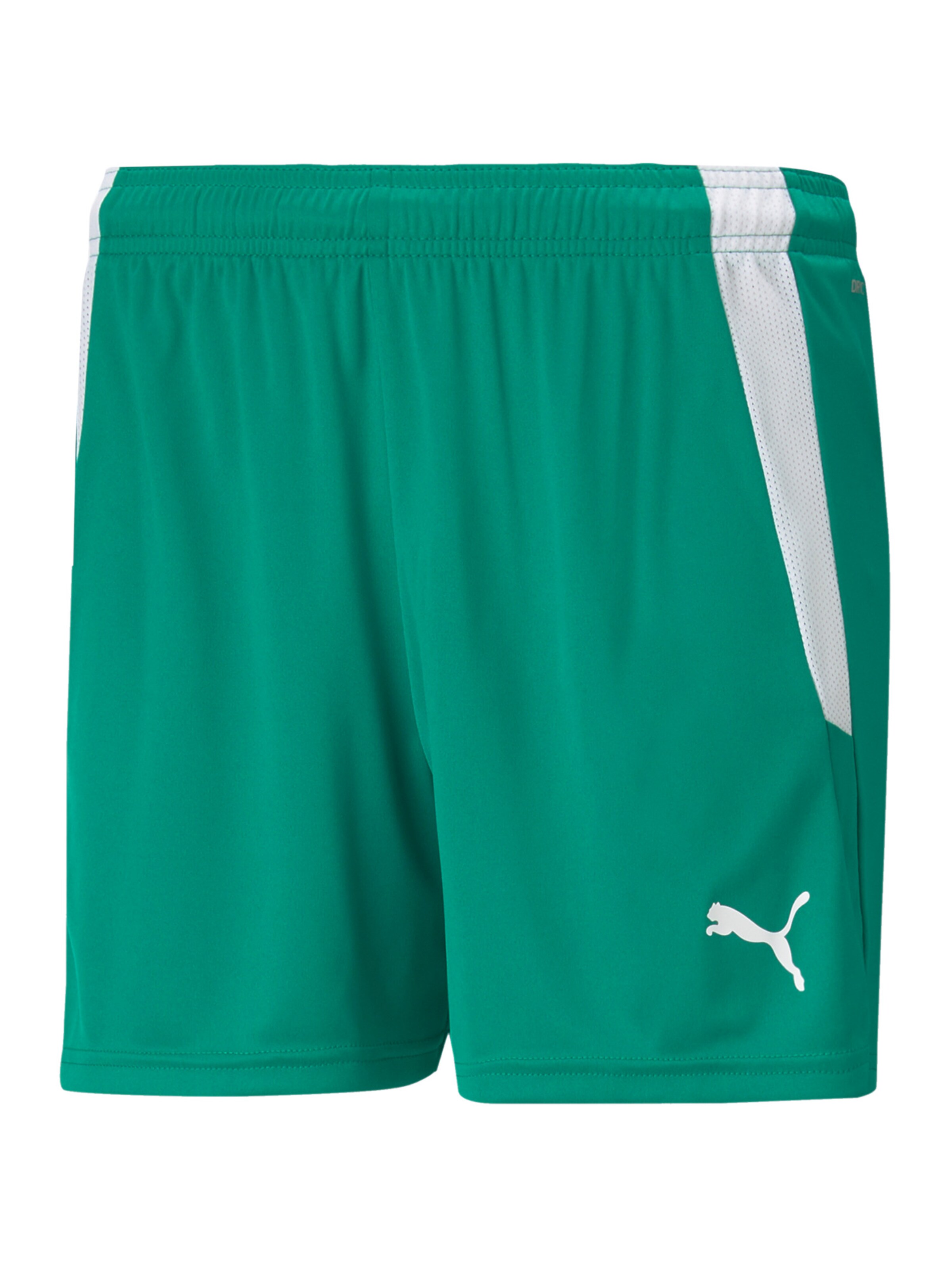 PUMA Workout Pants 'TeamLiga' in Green: front