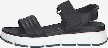 MARCO TOZZI Strap Sandals in Black