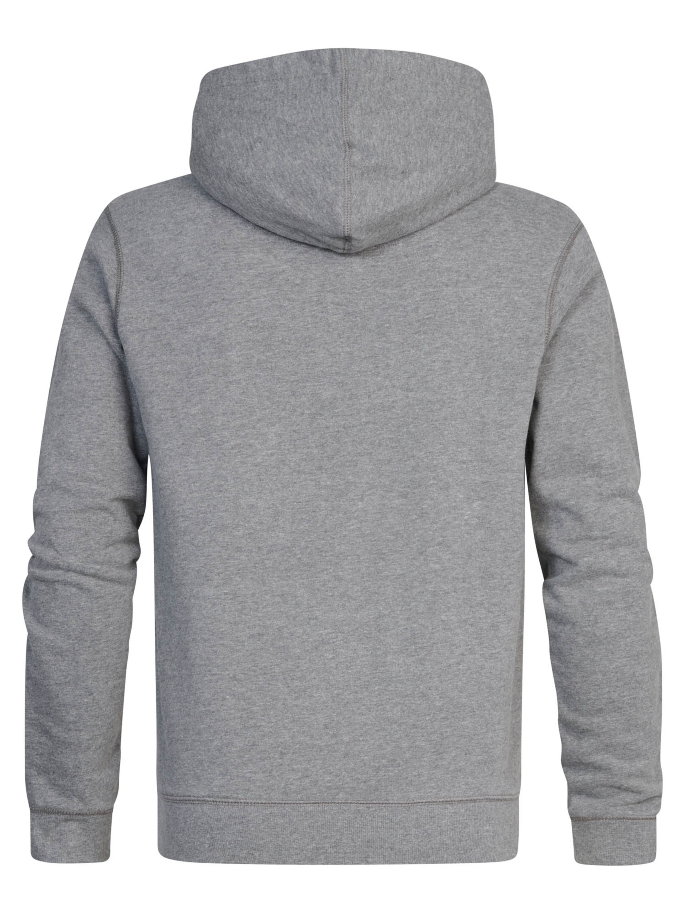 Petrol Industries Sweatshirt 'Ashland' i grå