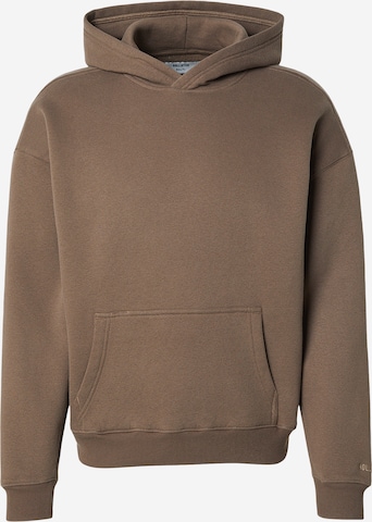 HOLLISTER Collegepaita värissä ruskea: etupuoli