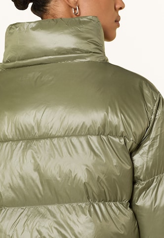 darling harbour Pufferjacke in Grün: Rückseite