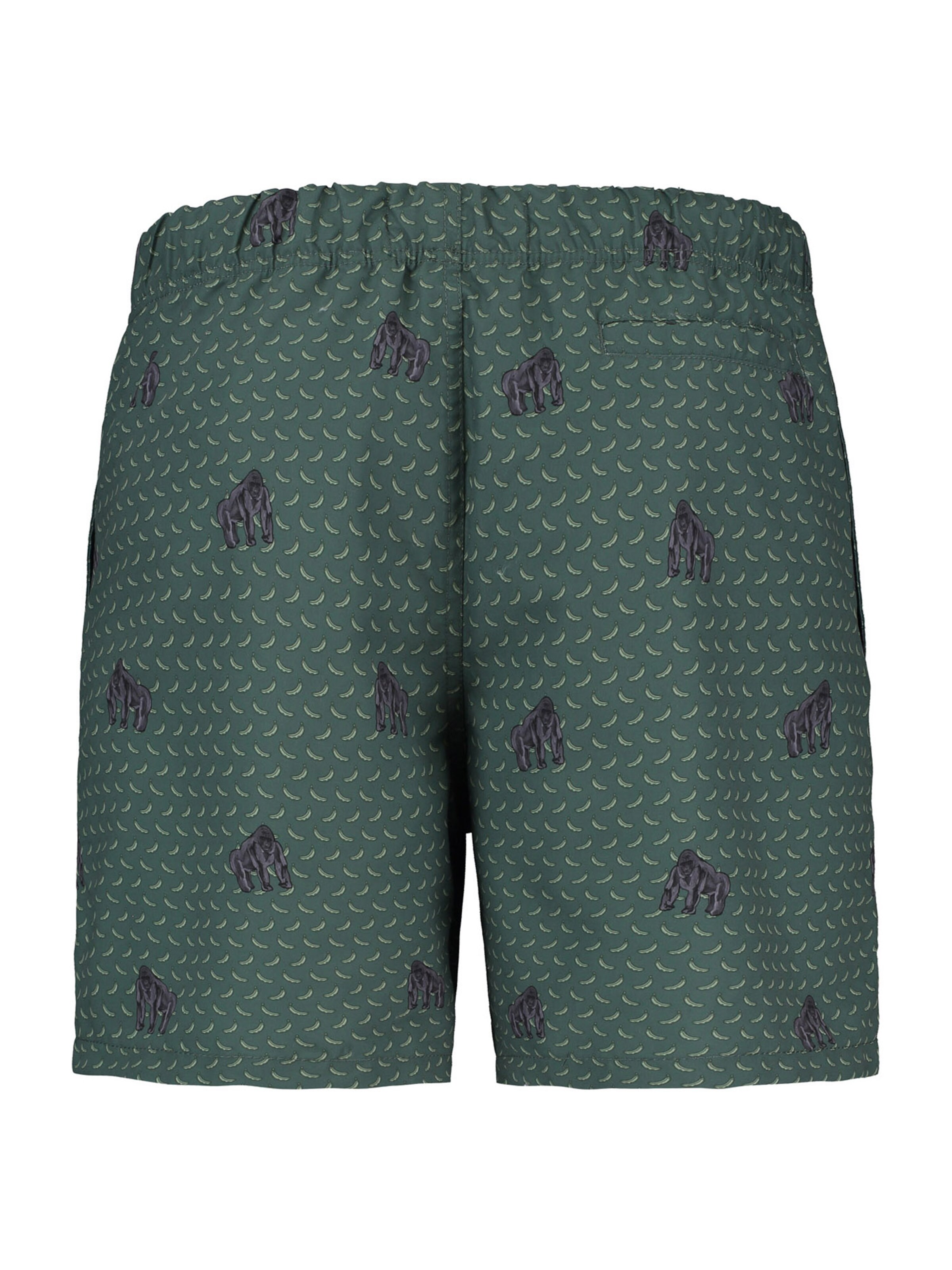 Shiwi Плавательные шорты в Зеленый