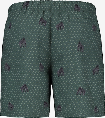 Shiwi Board Shorts in Green