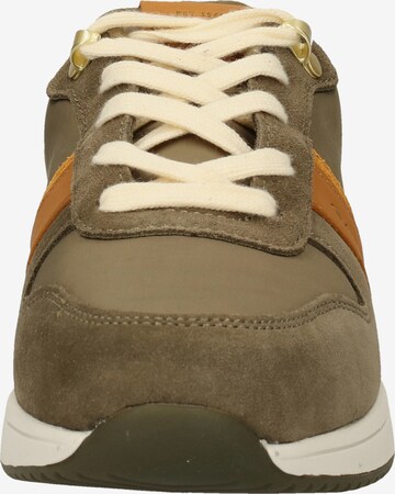 GANT Sneakers in Green