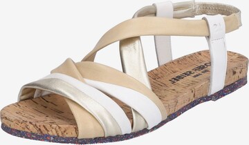 JOSEF SEIBEL Strap Sandals in Beige: front