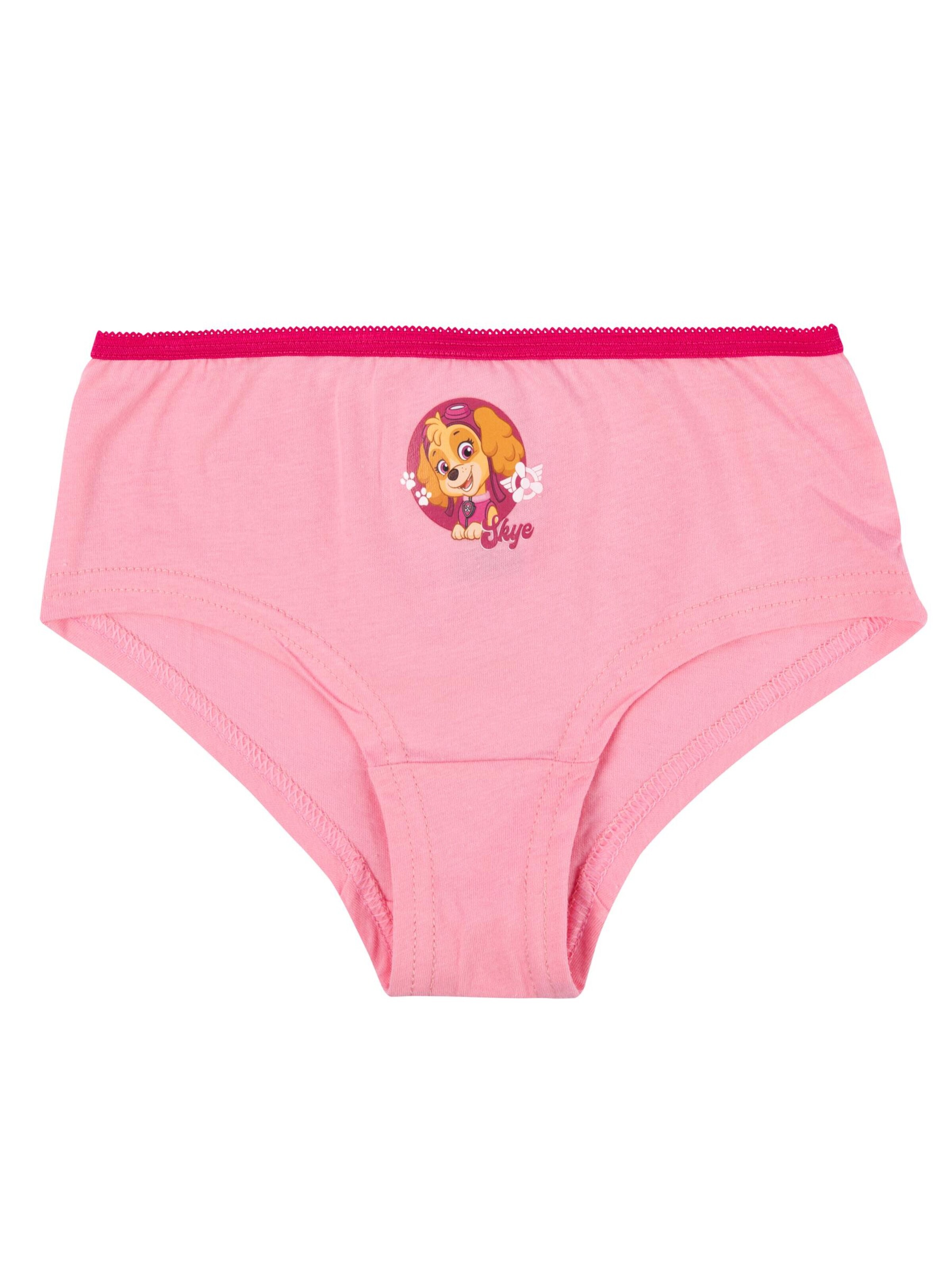Paw Patrol Underpants in Pink