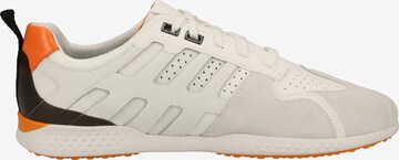 GEOX Sneakers in White