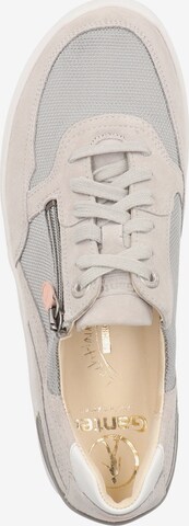 Ganter Sneakers in Beige