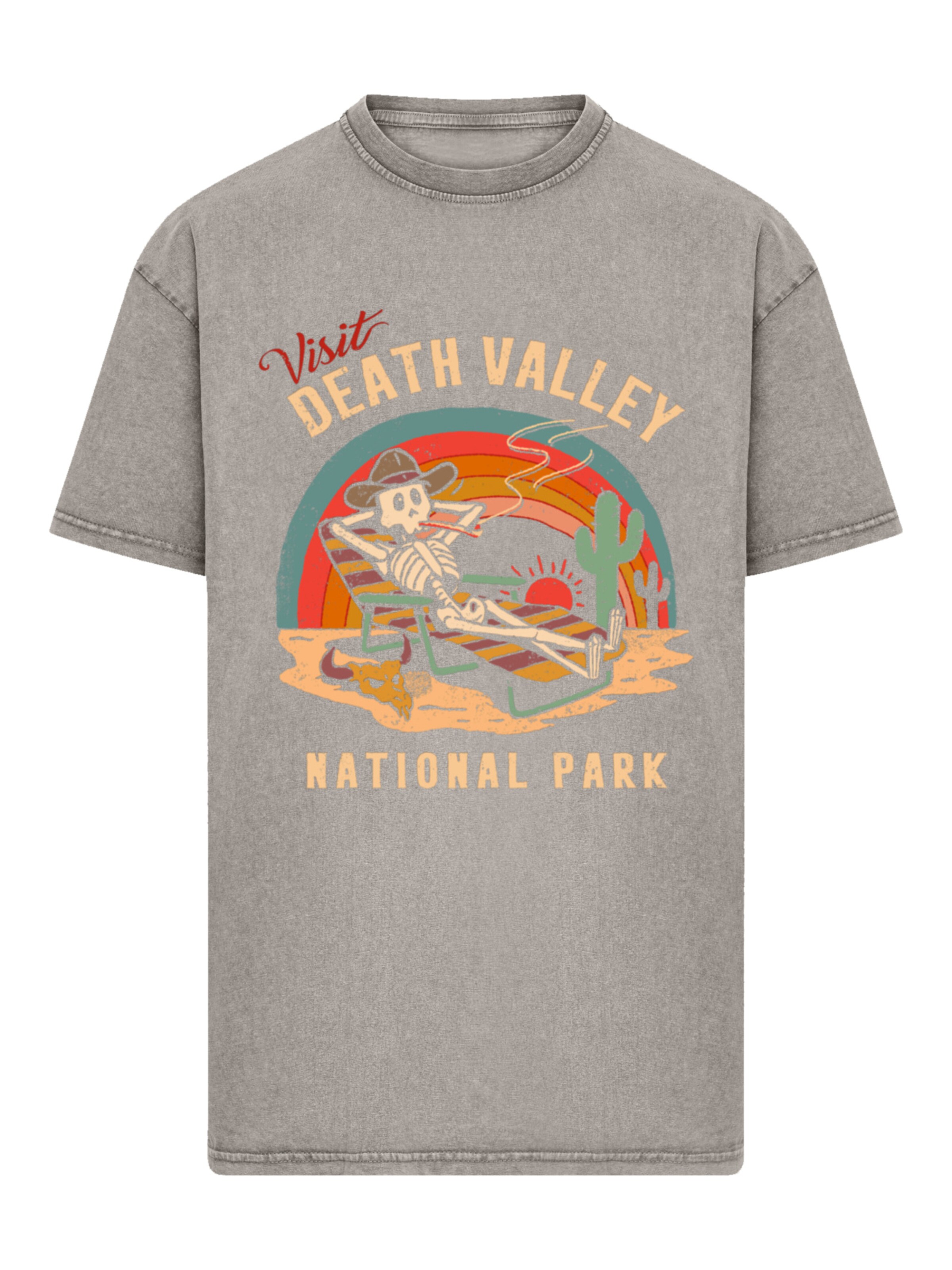 F4NT4STIC Shirt 'US National Parks Visit Death Valley' in Grey: front