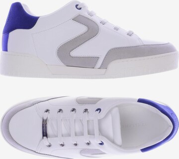 Stella McCartney Sneakers & Trainers in 39 in White: front
