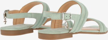 MEXX Strap Sandals in Blue