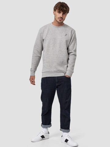 Mikon Sweatshirt 'Feder' in Grau