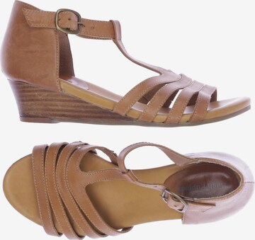 HUSH PUPPIES Sandals & High-Heeled Sandals in 37 in Brown: front
