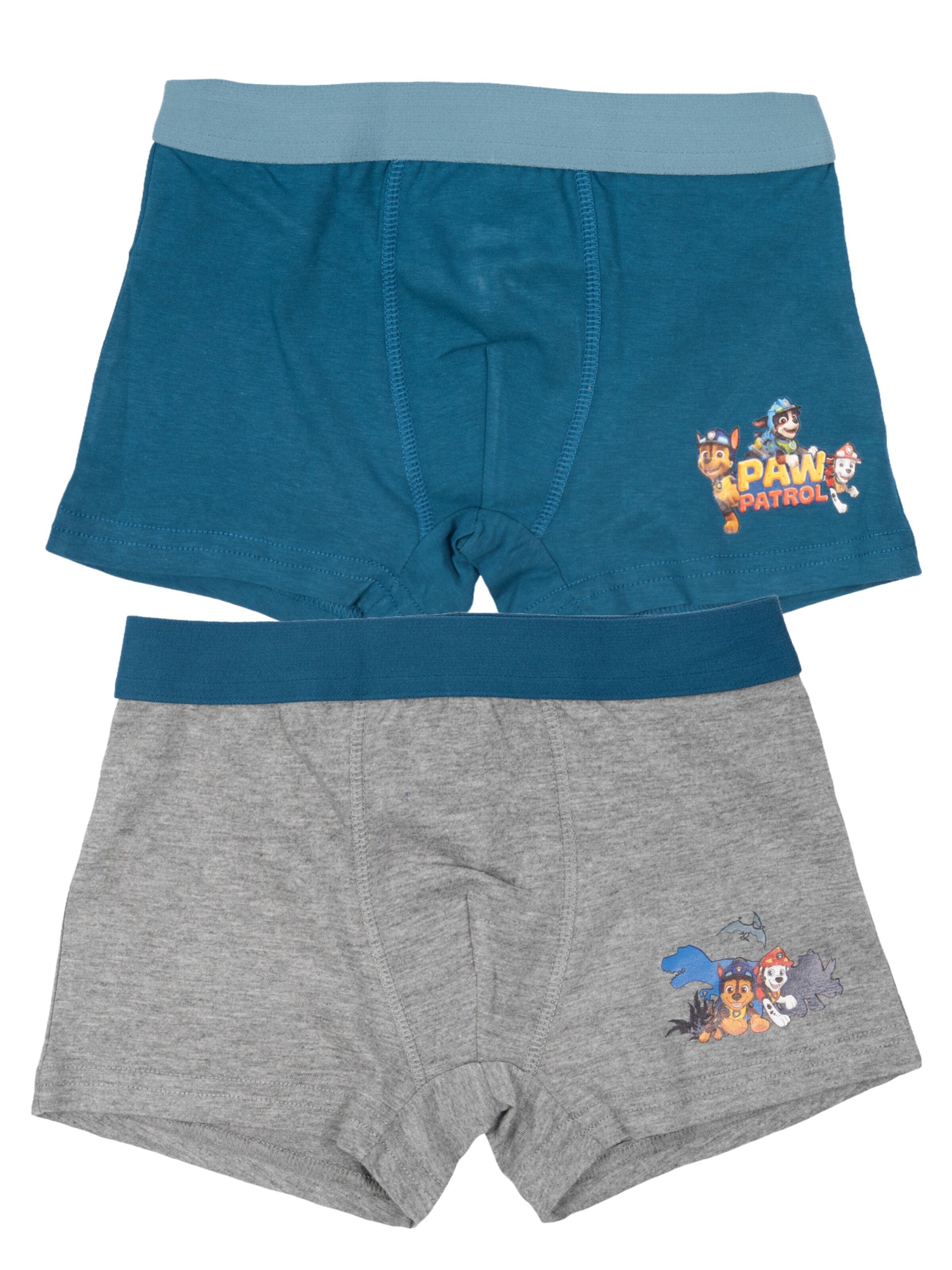 Paw Patrol Underpants in Mixed colours: front