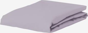 ESSENZA Bed Sheet 'Minte' in Purple: front