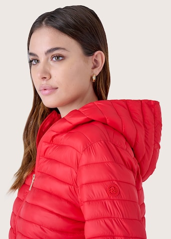 Camomilla Tussenjas 'PATRIK' in Rood