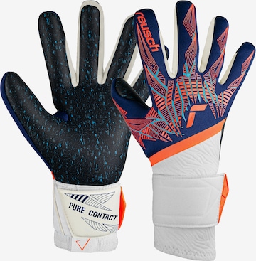 REUSCH Athletic Gloves 'Pure Contact Fusion' in Blue: front