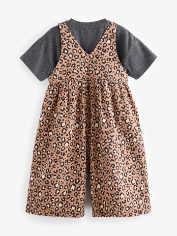 Next Set in Brown