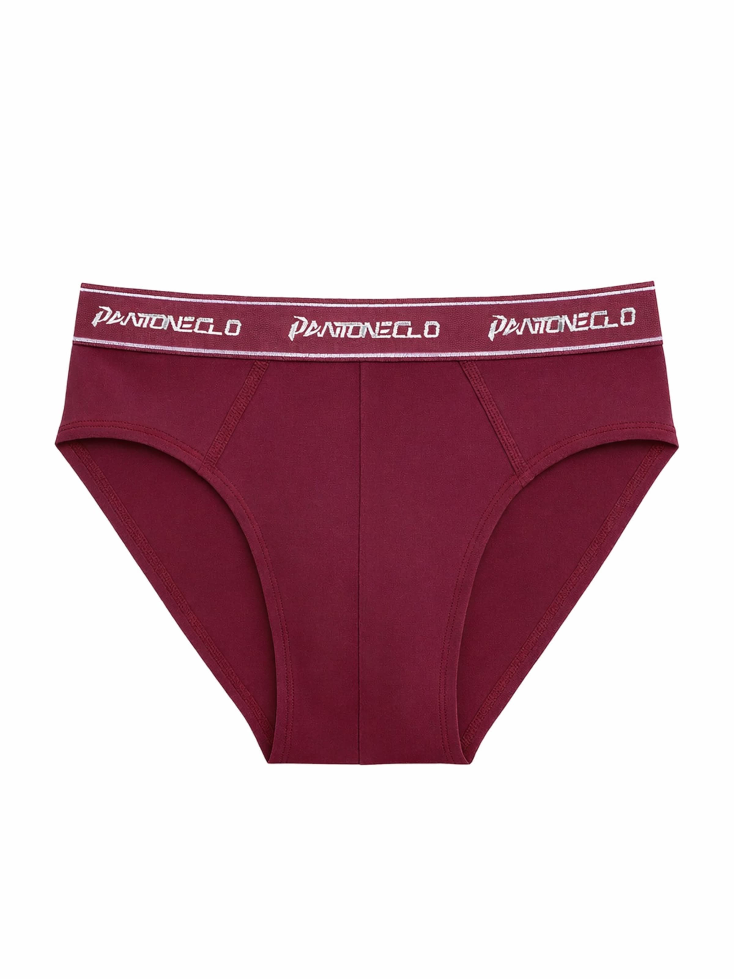PANTONECLO Slip 'Pantoneclo Men’s Boxer Brief Underwear'‌‌‌‌‌‌‌‌‌ in Rot: Vorderseite