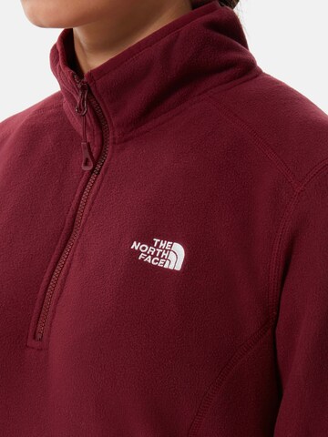 THE NORTH FACE Sportpullover 'Glacier' in Rot