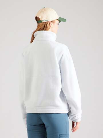 COLUMBIA Αθλητικό πουλόβερ 'Brushy Bay' σε γκρι: πίσω