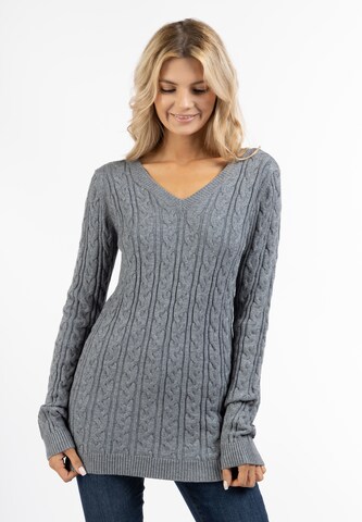 Pull-over usha BLUE LABEL en gris : devant