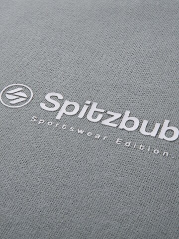 Sweat-shirt SPITZBUB en gris