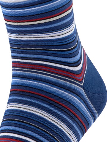 FALKE Socks 'Microblock' in Blue