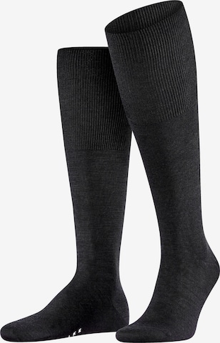 FALKE Knee High Socks 'Airport' in Black: front