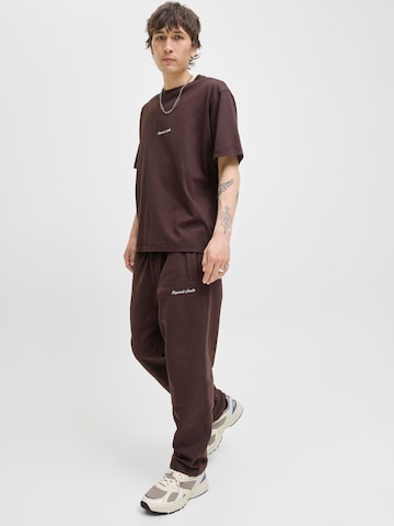 JACK & JONES Regular Trousers 'JPSTKane Norrebro' in Brown