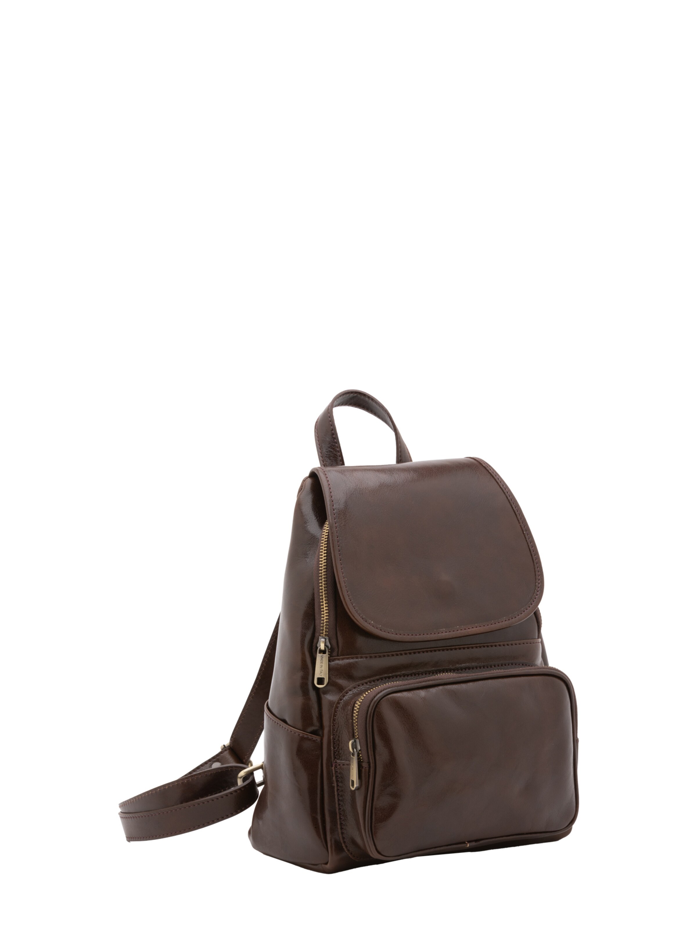Viola Castellani Backpack in Brown: front