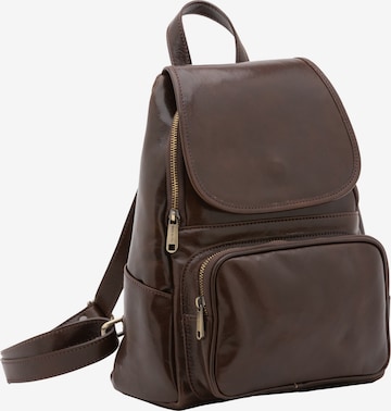 Viola Castellani Backpack in Brown: front
