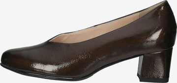 HASSIA Pumps in Brown