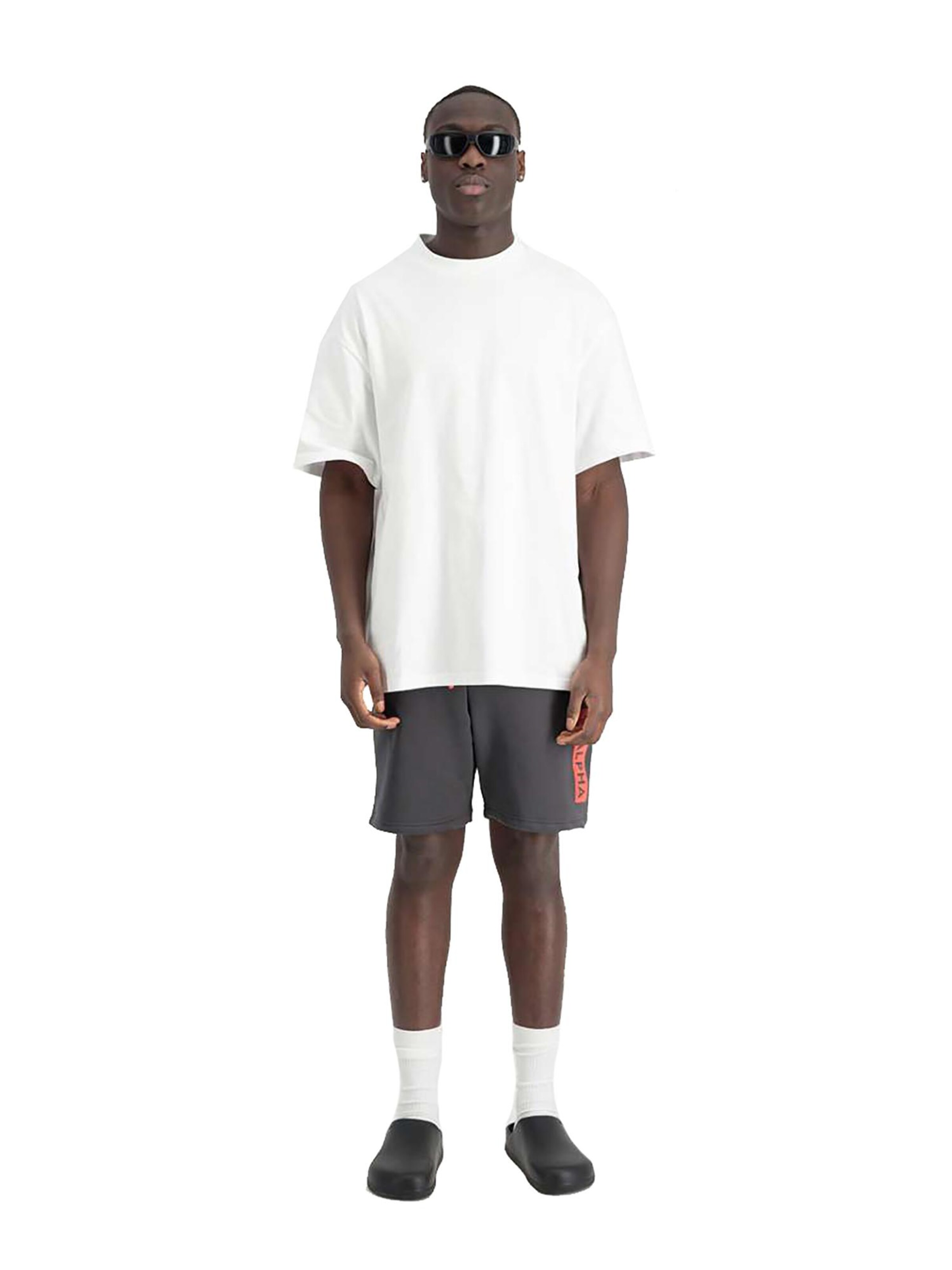 ALPHA INDUSTRIES Normální Kalhoty 'Alpha PP' – šedá