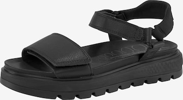 TIMBERLAND - Sandalias en negro: frente