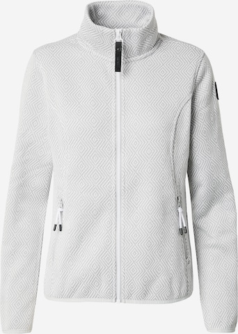 ICEPEAK Функциональная флисовая куртка 'AULTI' в Серый: спереди