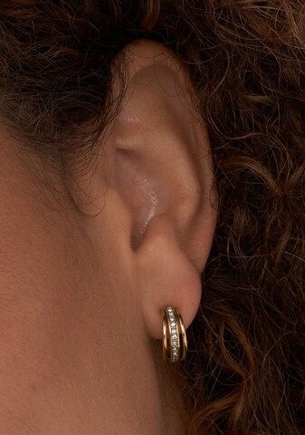 SKAGEN Earrings 'Kariana' in Gold: front