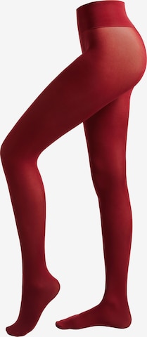CALZEDONIA Strumpfhose in Rot: Vorderseite