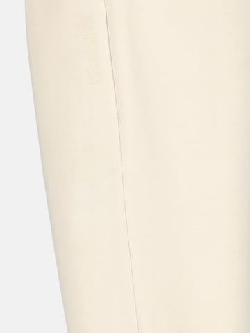 Seaside Regular Trousers 'Lounge' in Beige