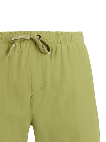 PROTEST Badeshorts 'PRTIgapo' in Grün