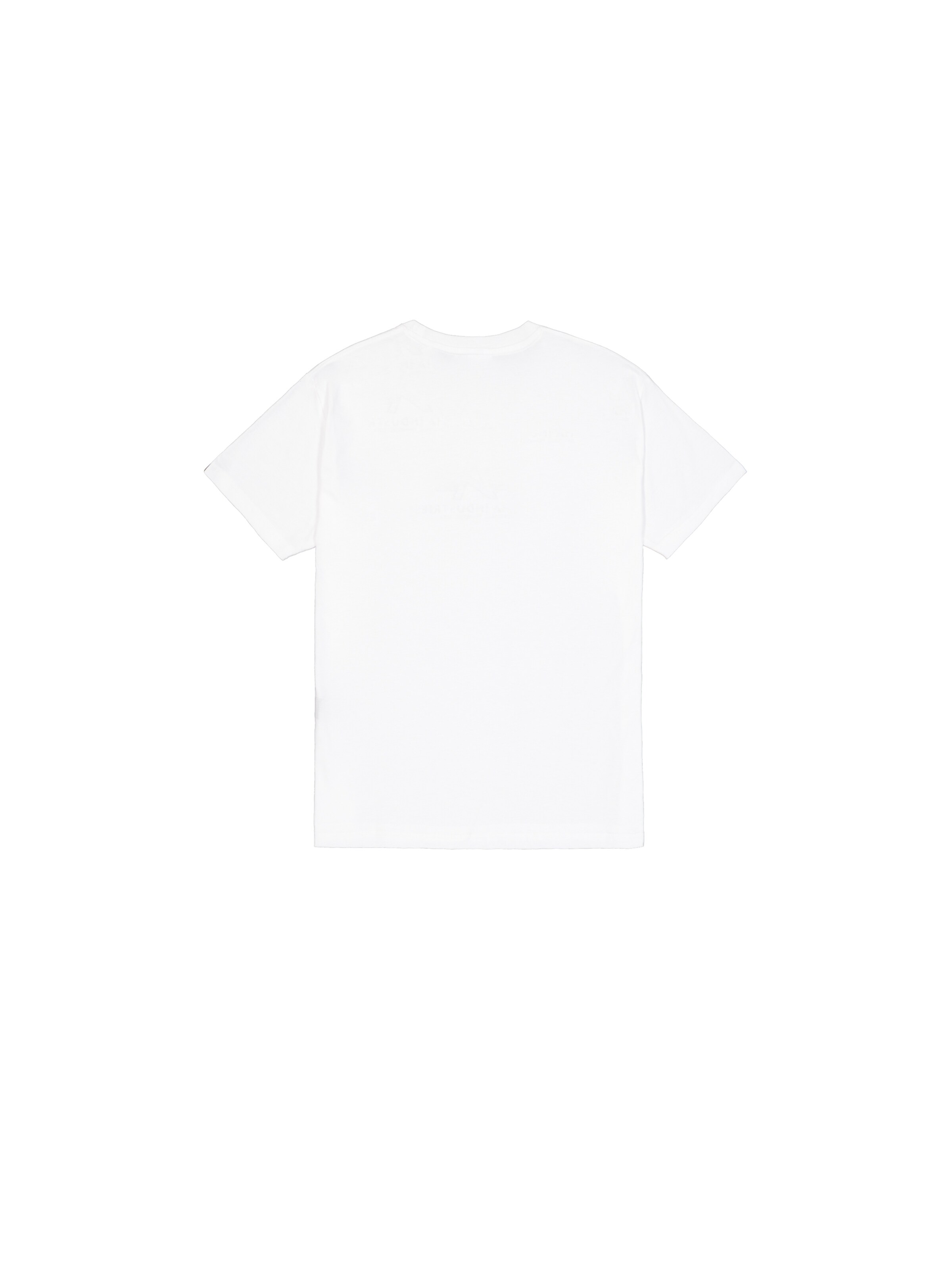 ALPHA INDUSTRIES - Camiseta en blanco
