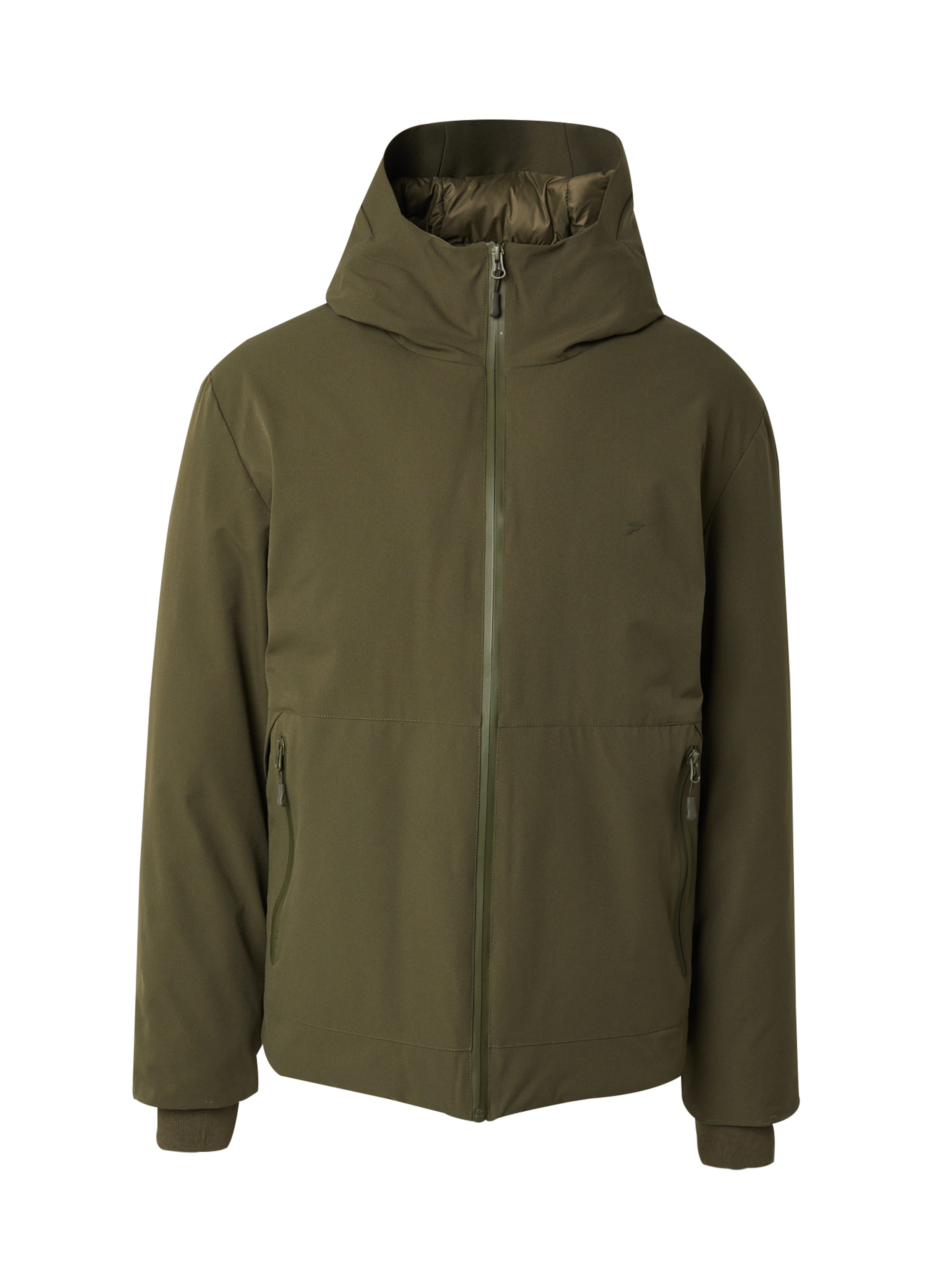 DAN FOX APPAREL Winter Jacket 'Paul' in Green: front