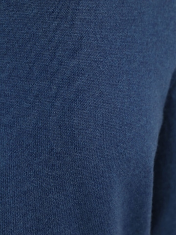 Steppin' out Trui in Blauw
