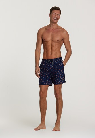 Shorts de bain Shiwi en bleu