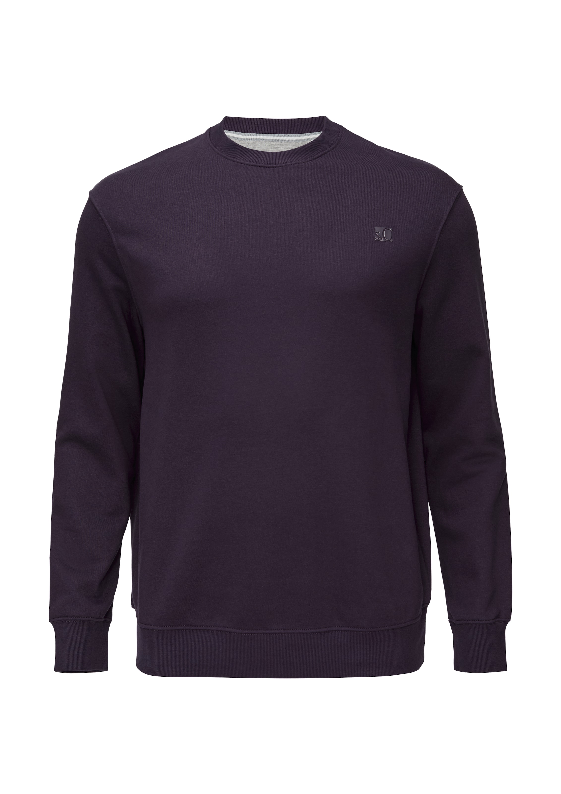s.Oliver Men Big Sizes Sweatshirt in Purple: front