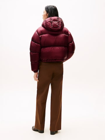 TOMMY HILFIGER Winterjas in Rood