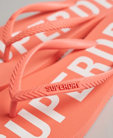 Tongs Superdry en orange