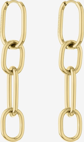 Liebeskind Berlin Oorbellen in Goud: voorkant